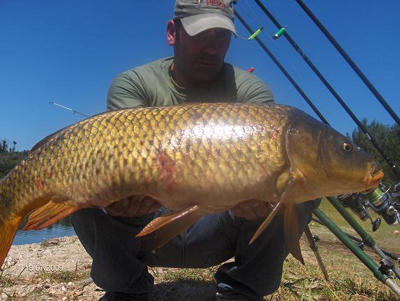 2 Carpas Aguieira 18 Julho 2009. Boilies Muscle Fish