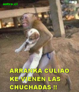 arrancachuchadasfs0.jpg