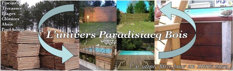 Conseils professionnels pour monter votre piscine