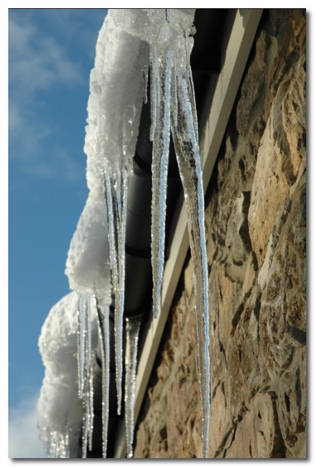 icicles in Donkleywood