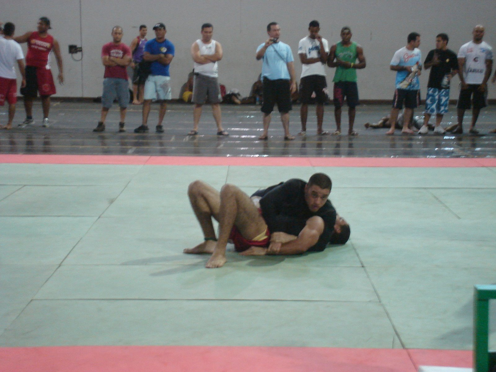 [DSC00274.JPG]