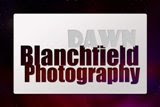 Dawn Blanchfield Photography