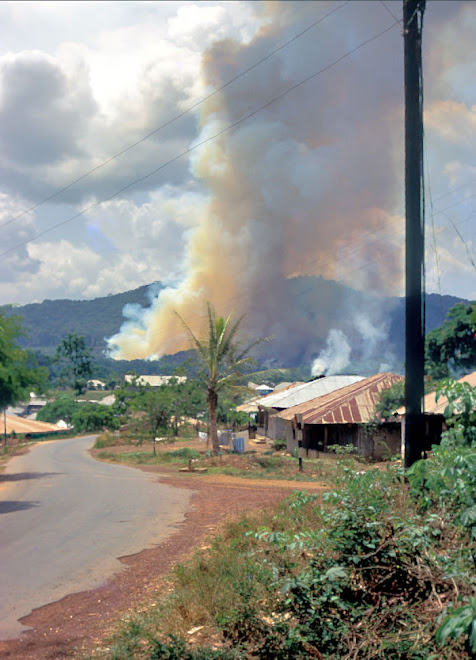slash and burn farm prep near Kenema