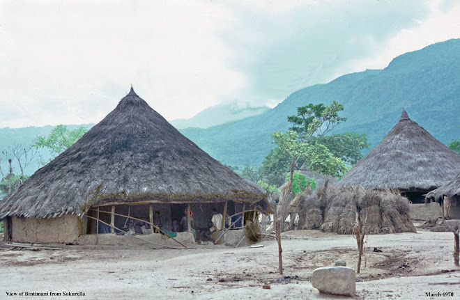 View to Bintimani and Loma Mts