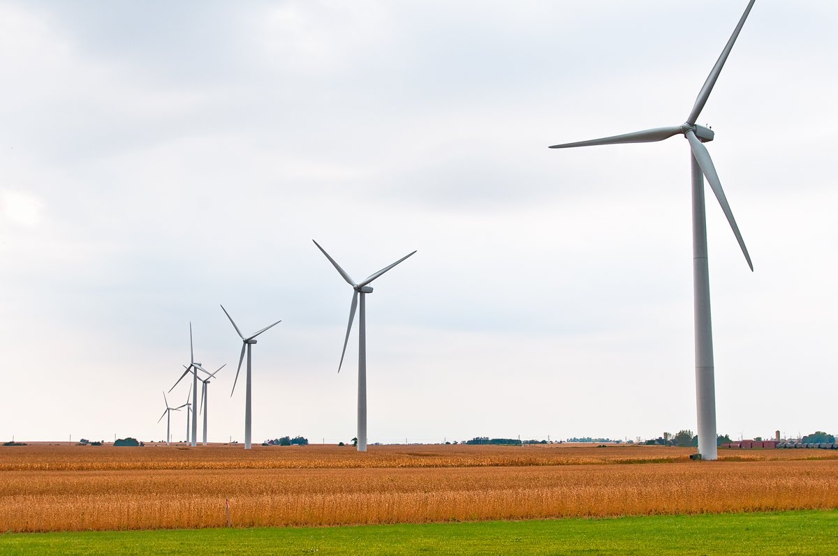 THE 17TH ANNUAL THANKSGIVING PHOTO SHOW 2010 35. Wind Farming
