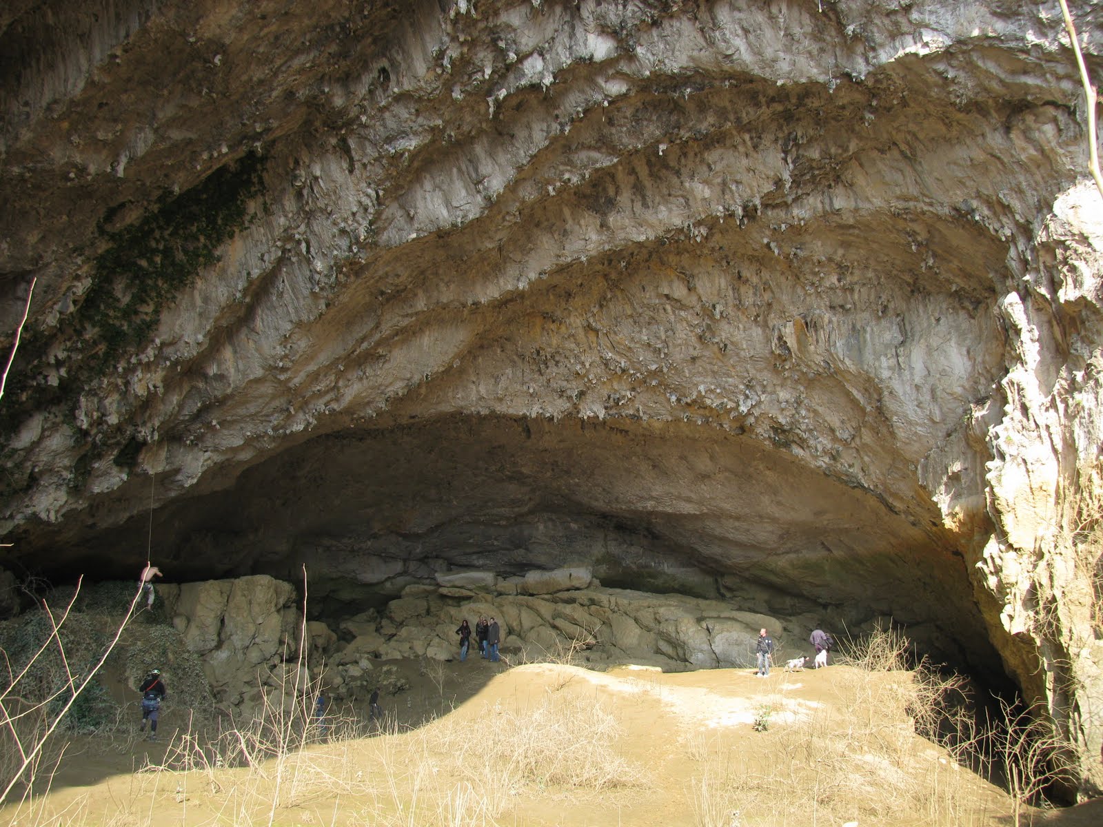 [IMG_1166.JPG]