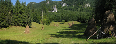 foin et montagne en roumanie