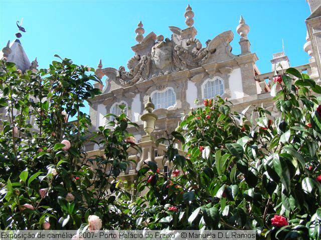 [Freixo-expo-camelias-+070311+(149).jpg]