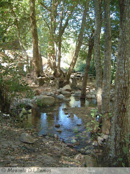 [Platanus-Barranco-+Pisoes+(2).jpg]