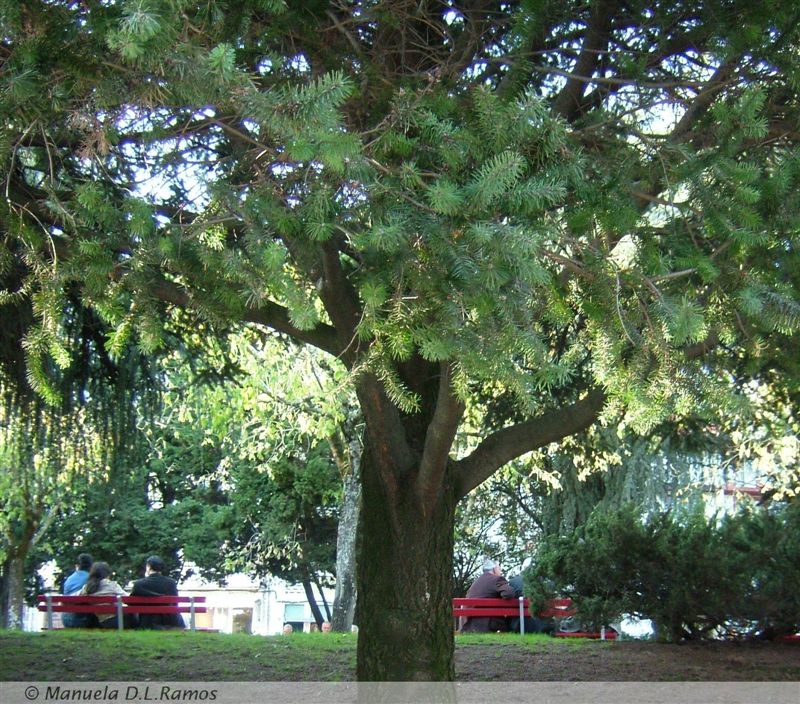 [Guimaraes+-0611-2.jpg]