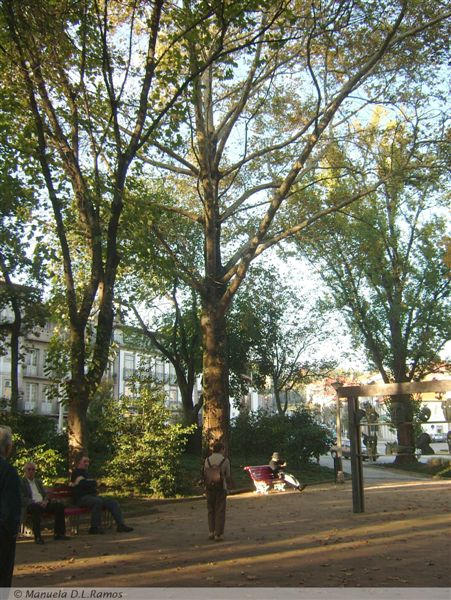 [Guimaraes+-0611-4.jpg]
