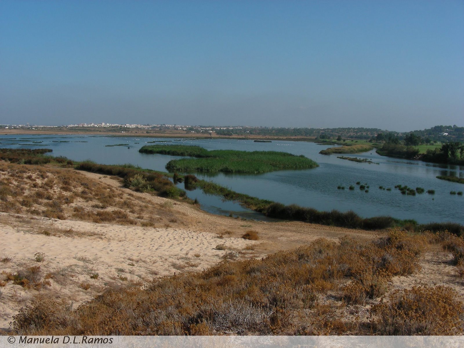 [Algarve+07+213.jpg]