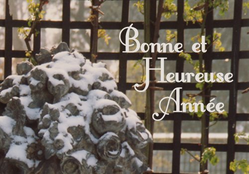 [Bonne+année.jpg]