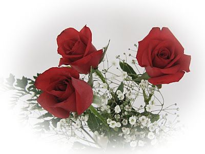 https://2.bp.blogspot.com/_lddFFu6s4yQ/Sfo_f7v-K8I/AAAAAAAATds/Up0zP7H8v6Y/s400/roze44.jpg