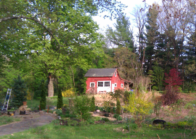 Charming little red country barn in Florence, MA