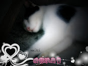 miki♂宝贝♀