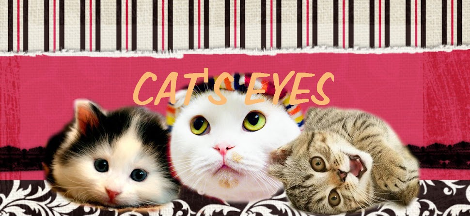 CAT'S EYES