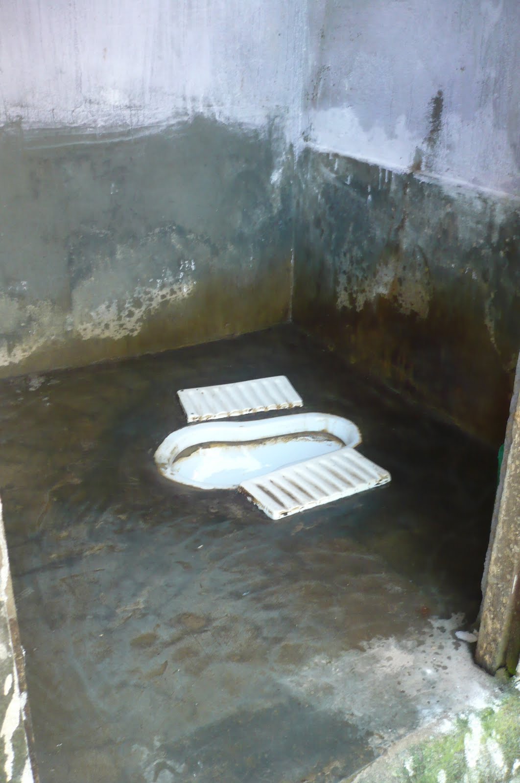 Pauline Marks travels Nepali toilet