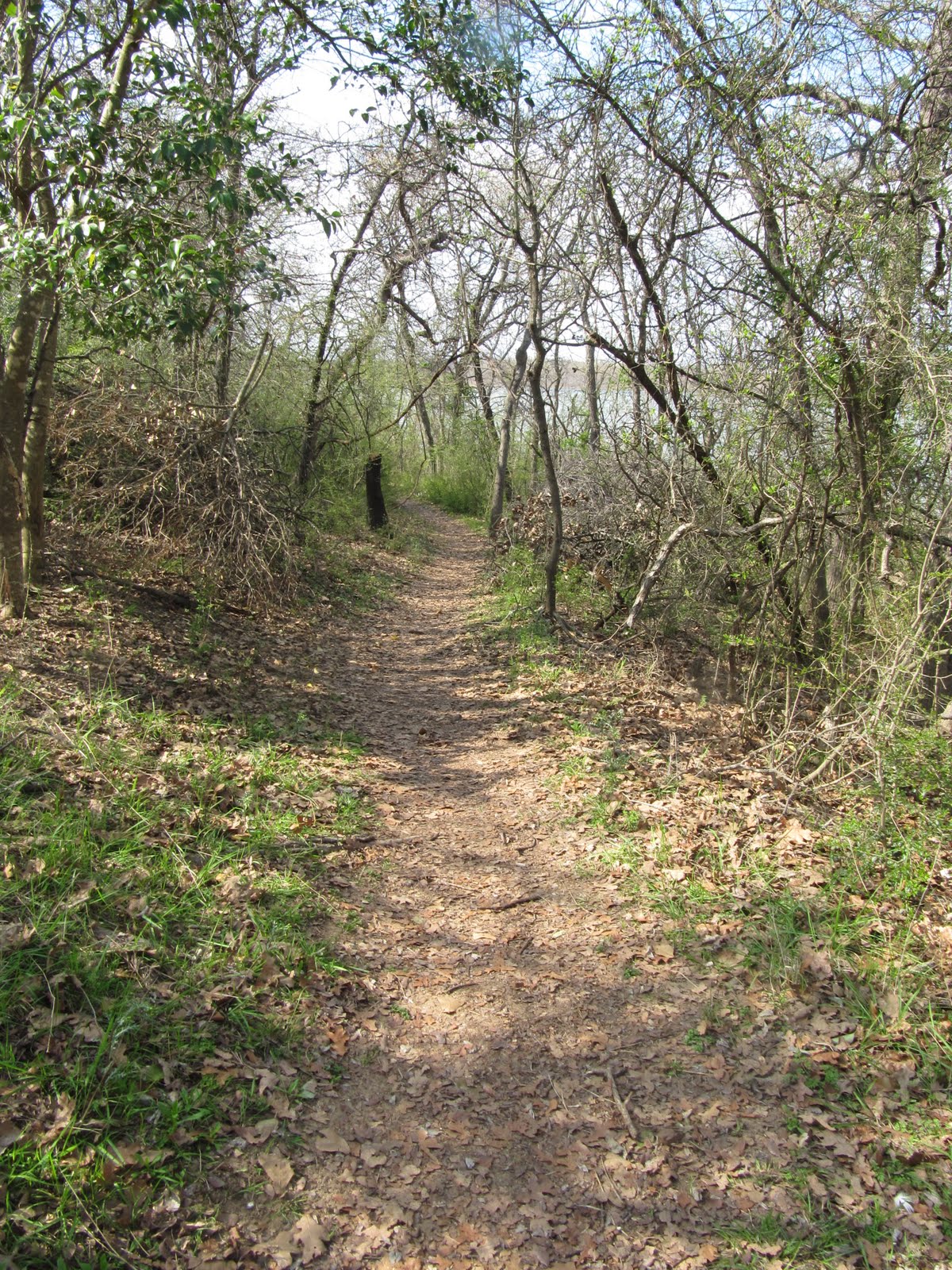 [IMG_2270.JPG]