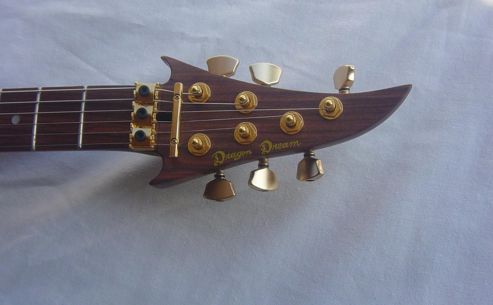 Claudio Palazzolo Guitarra custom