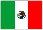 MY MEXICAN FLAG