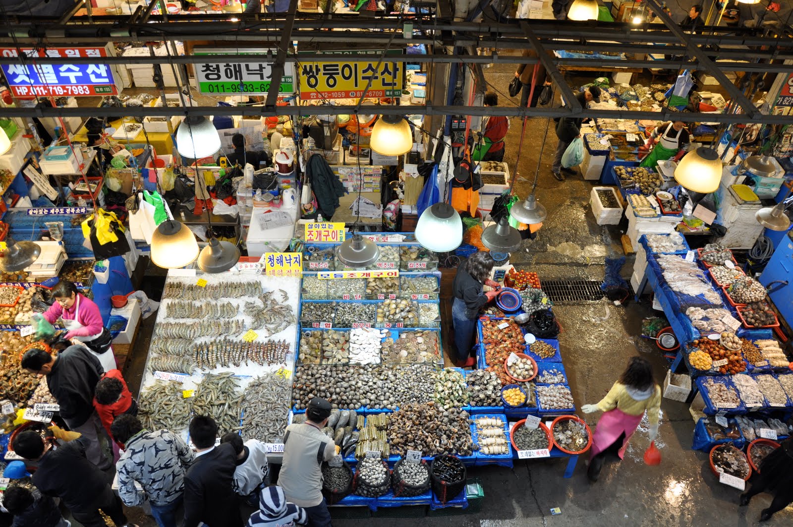 South Korea! Noryangjin Fish Market