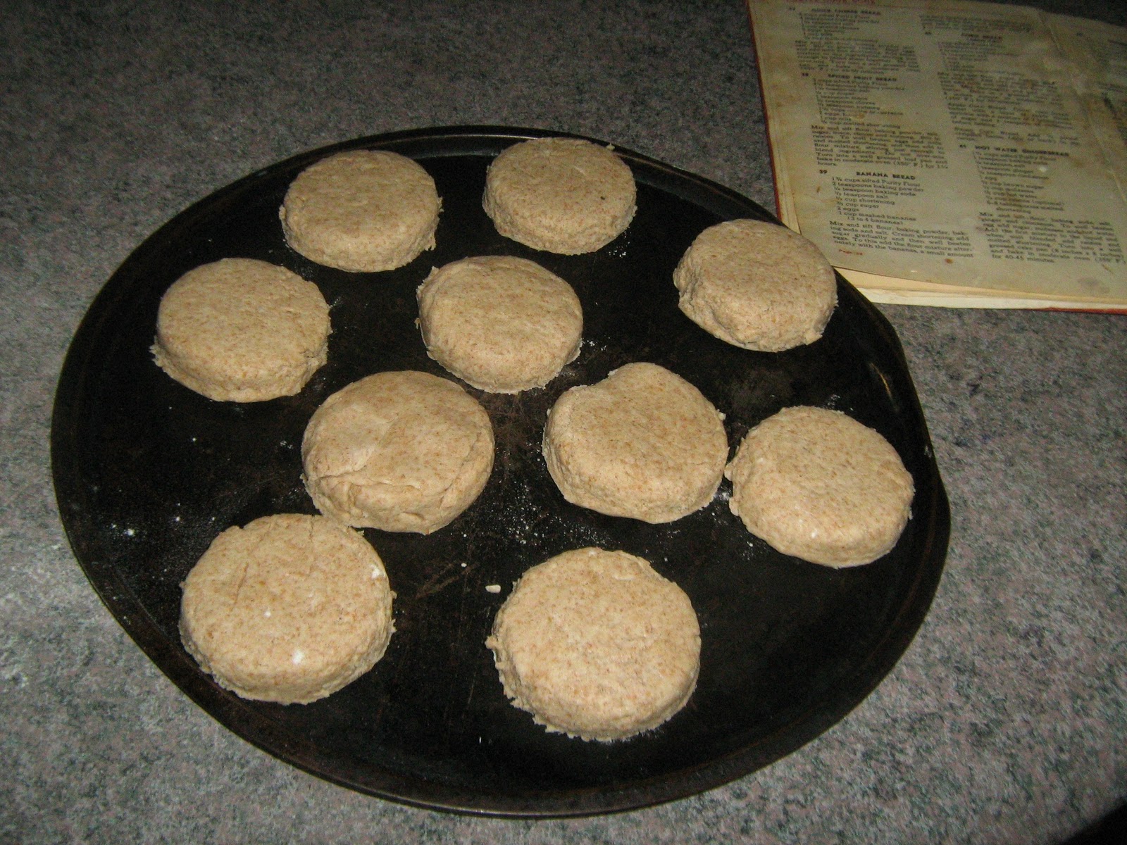 The Musical Gardener Perfect Tea Biscuits
