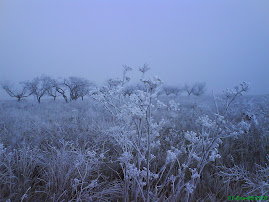 Imágenes del invierno 2007-08
