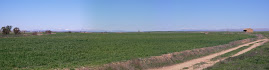 VISTA DESDE LAS ERAS DE SAN ISIDRO