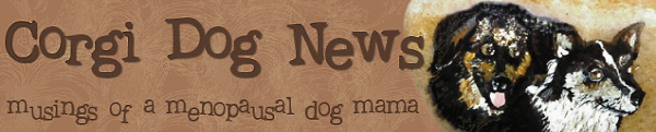 Corgi Dog News...musings of a menopausal dog mama.
