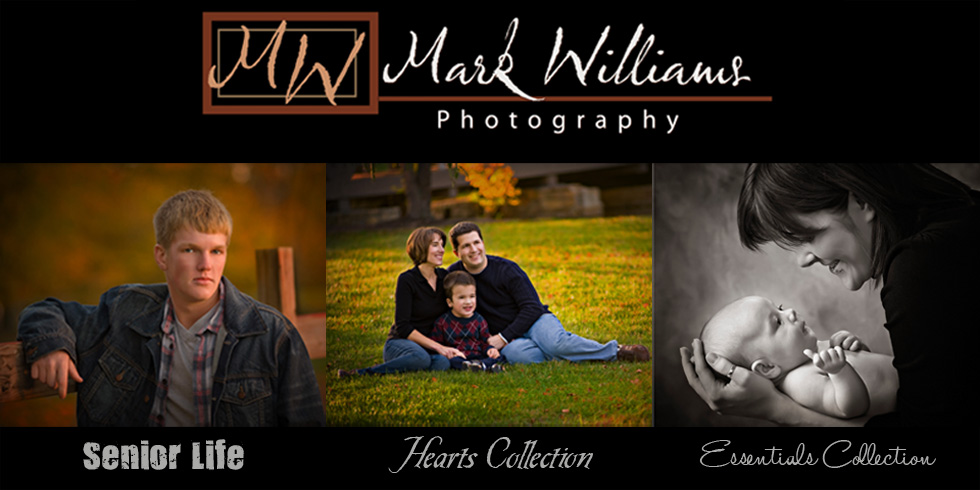 Mark Williams Photography Blog