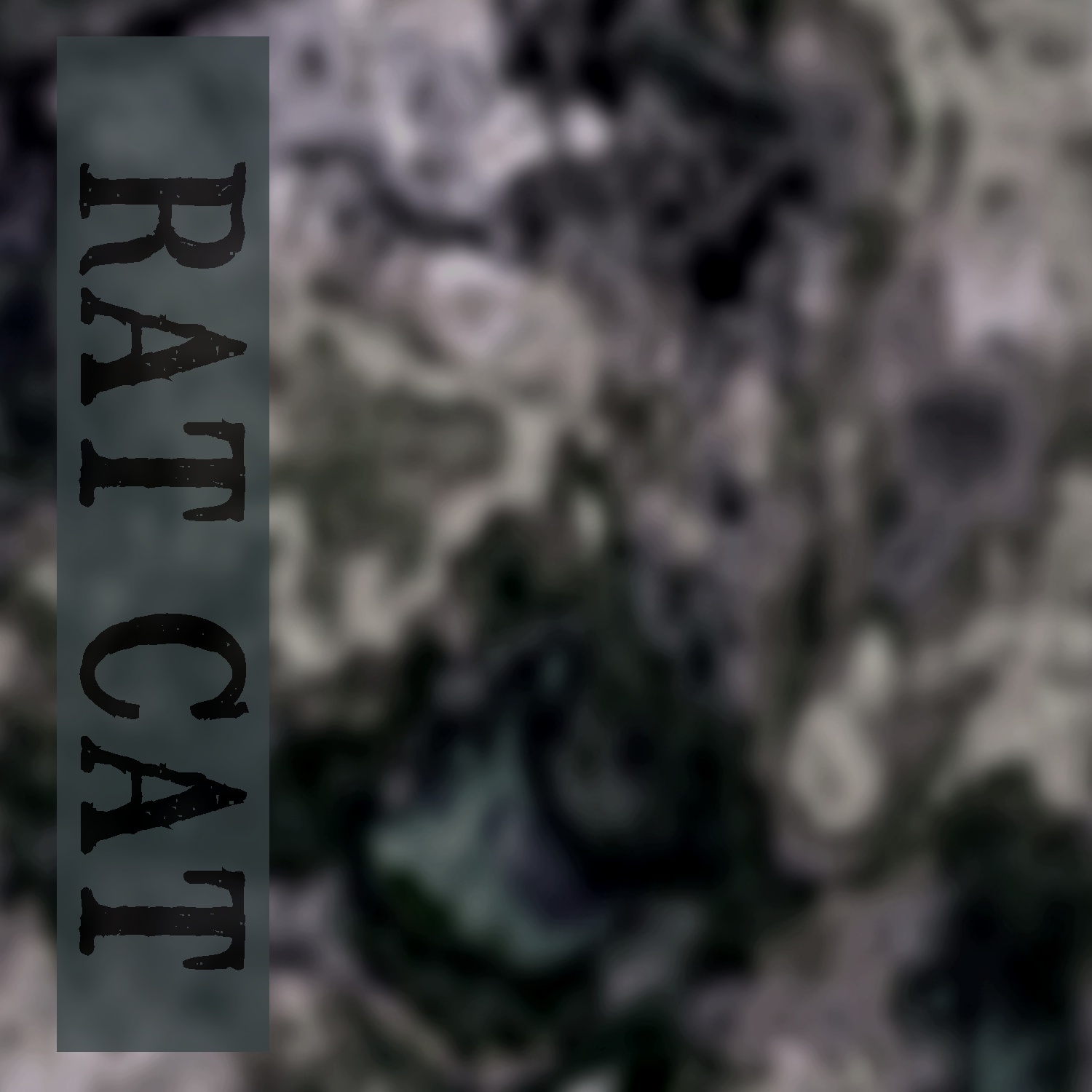 Famous Album Covers Rat Cat