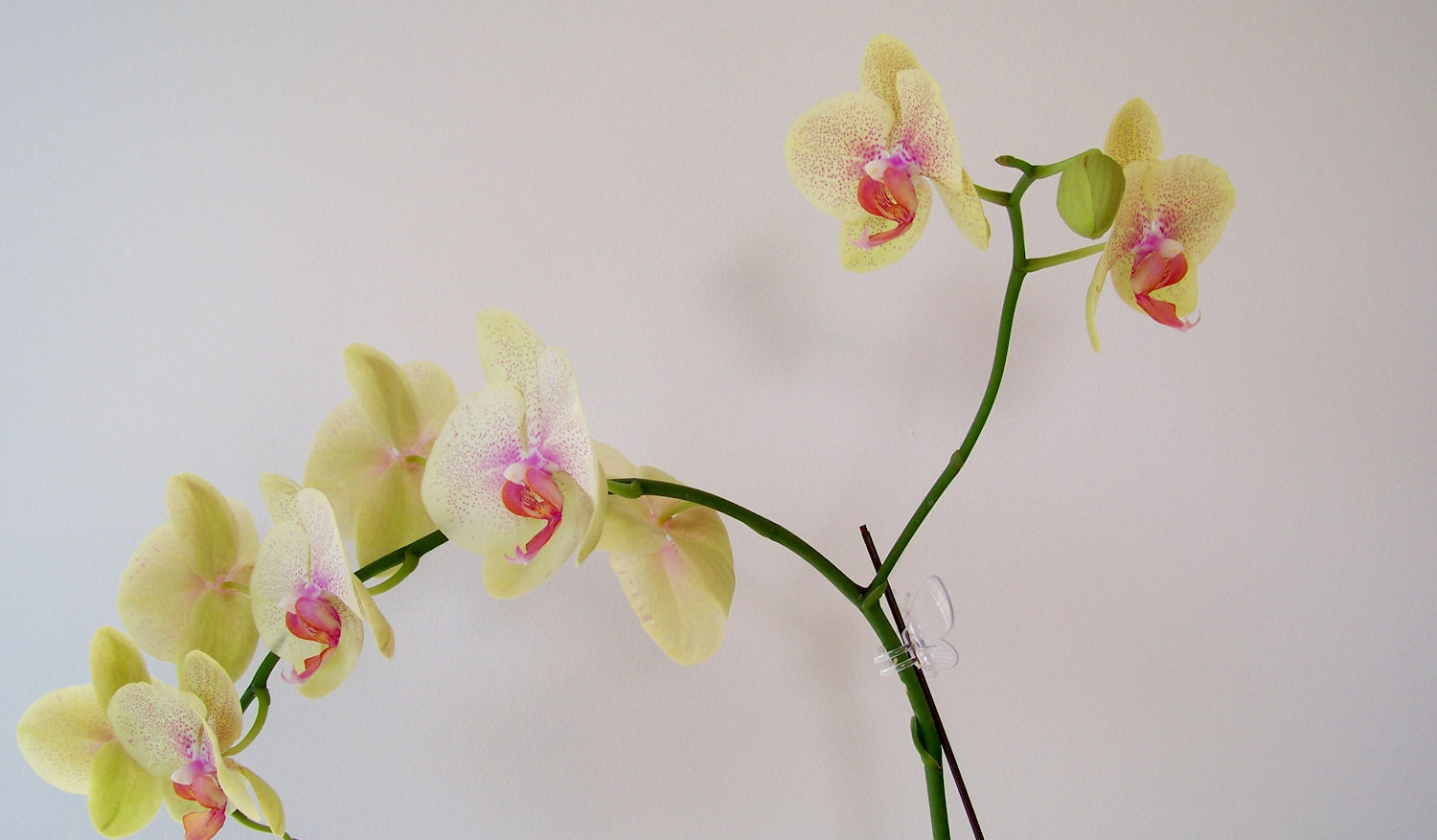 [master+bath+14.jpg]