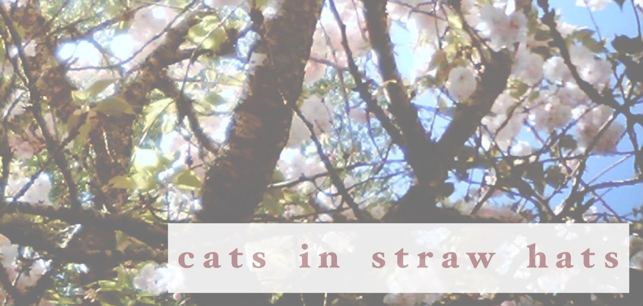 Cats In Straw Hats