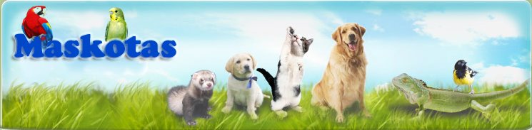 MasKotas
