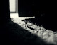 A minha foto