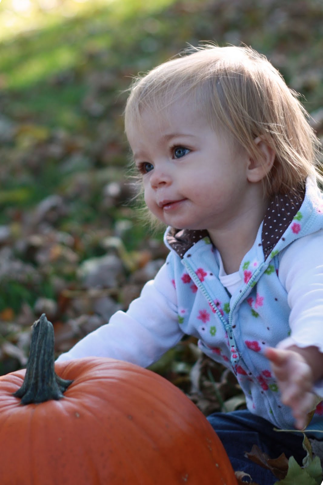 [IMG_5715+with+pumpk+copy.jpg]