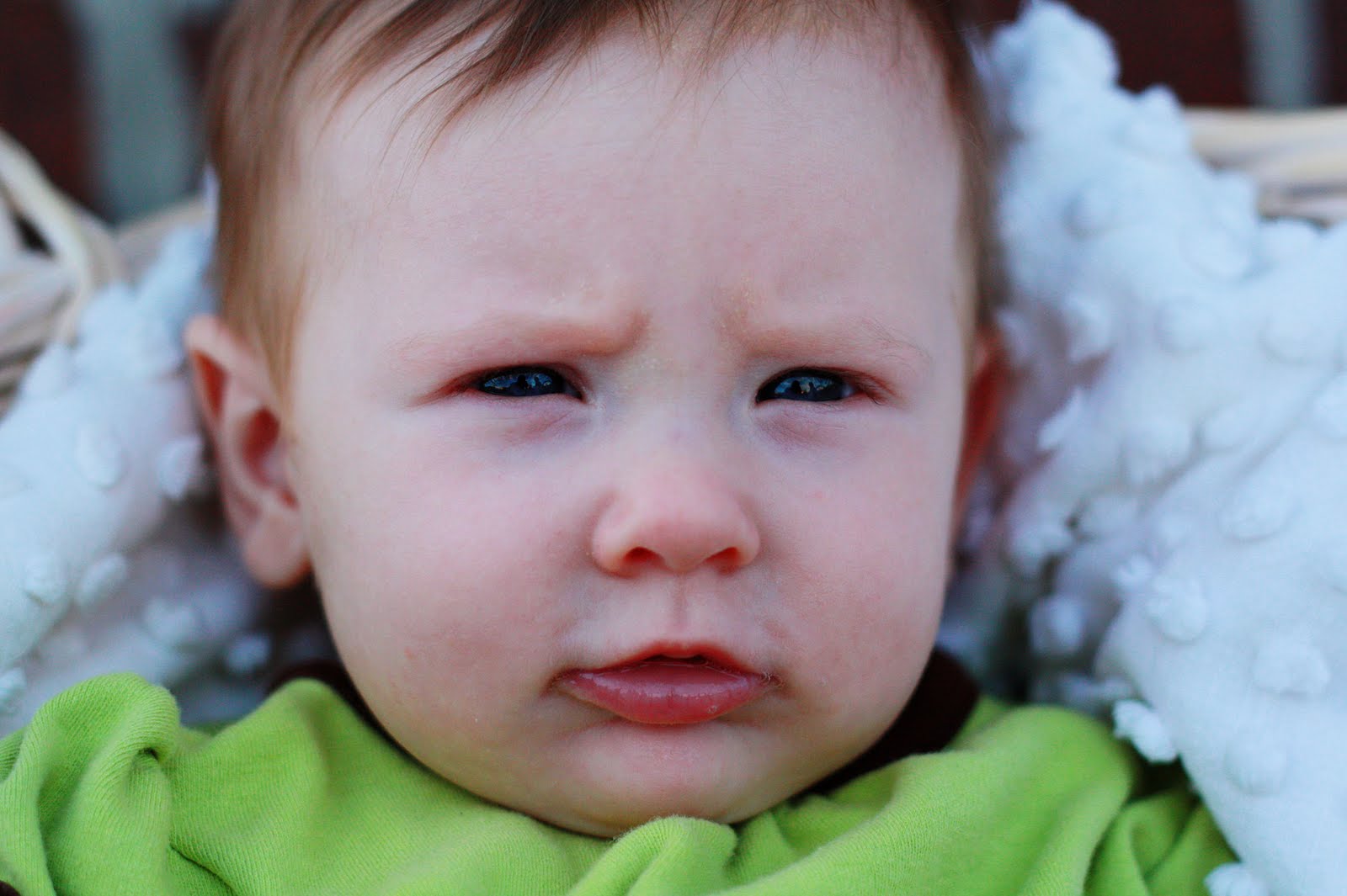 [IMG_8239colorful.jpg]