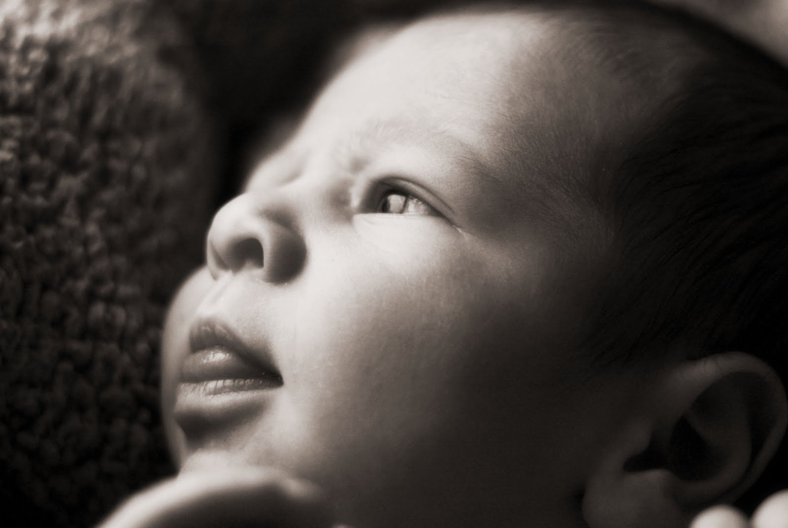 [IMG_1557chocsoft.jpg]