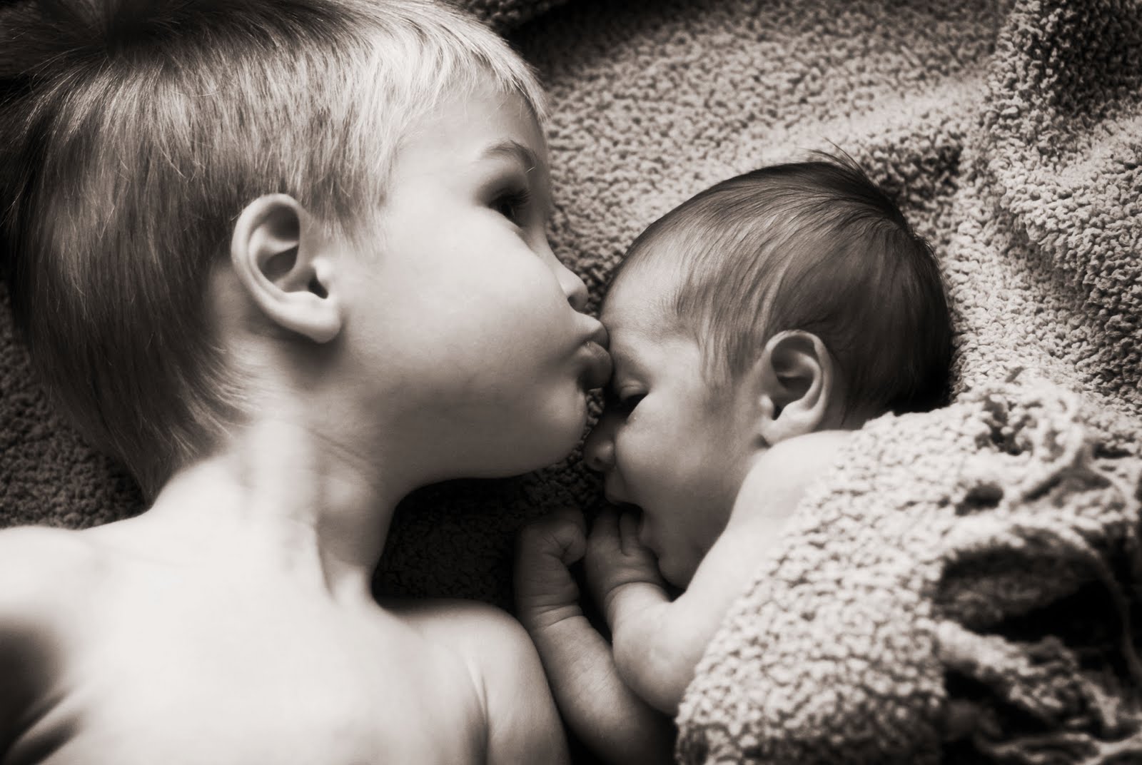 [IMG_1714chocsoft.jpg]