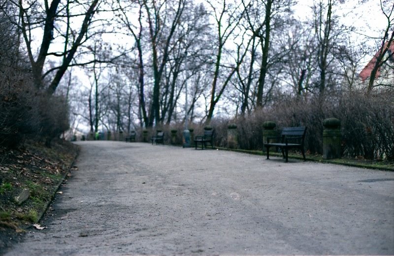 Park in Smichov, Prague