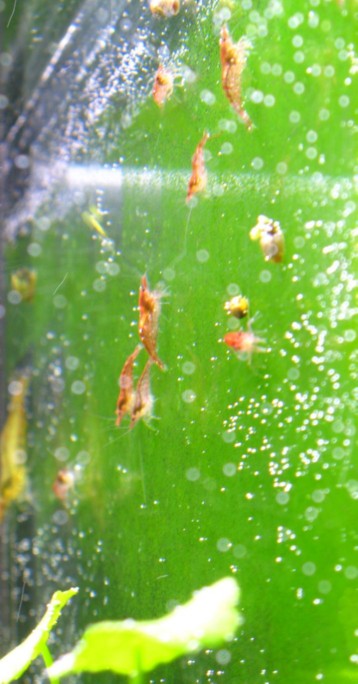 [IMG_1165sssssss.jpg]