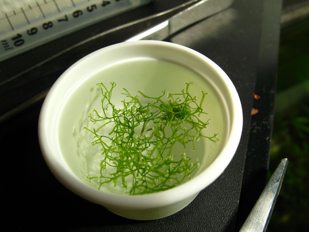 [IMG_2927ss.jpg]