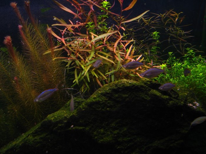 [IMG_4129ssssss.jpg]