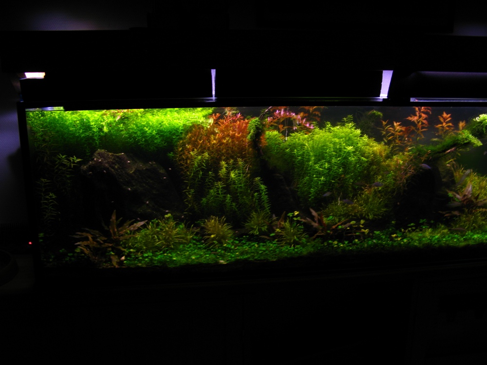 [IMG_4373ss.jpg]