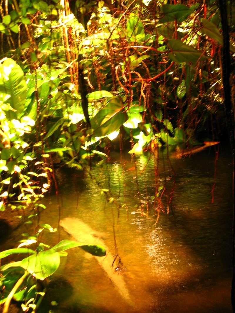 [IMG_4396.JPG]