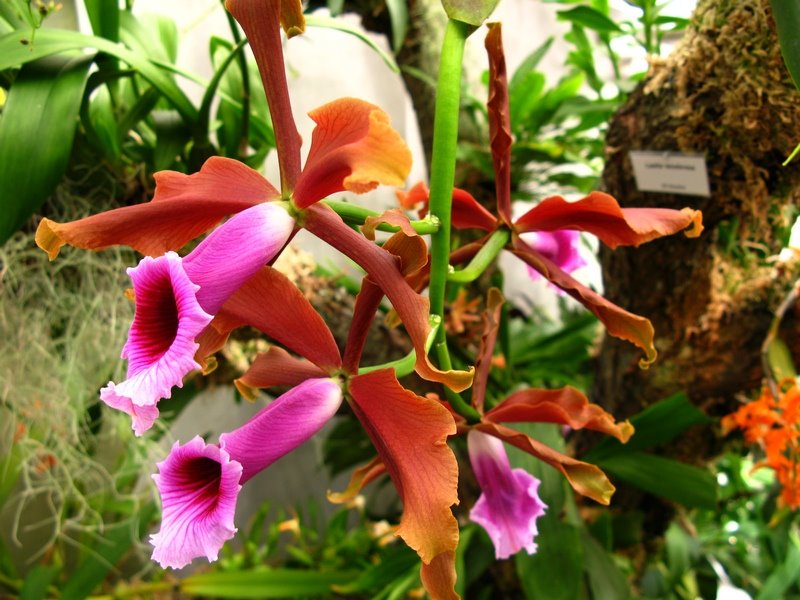 [IMG_4892sss.jpg]