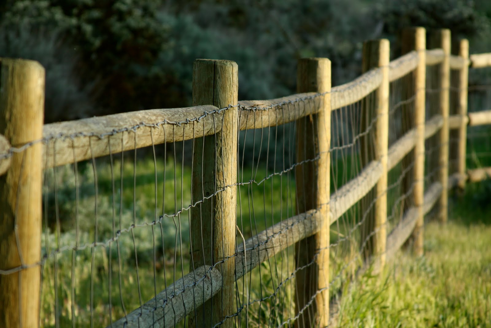 Sheep Fence made of Wood