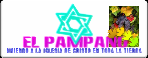 CCR"El Pámpano"