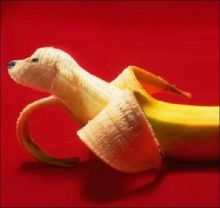 Beagle Nana Funny Banana Art